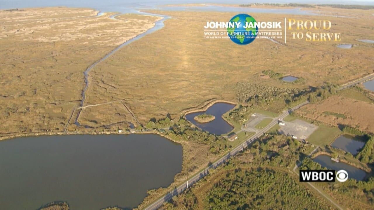 Proud to Serve: Woodland Beach Wildlife Area